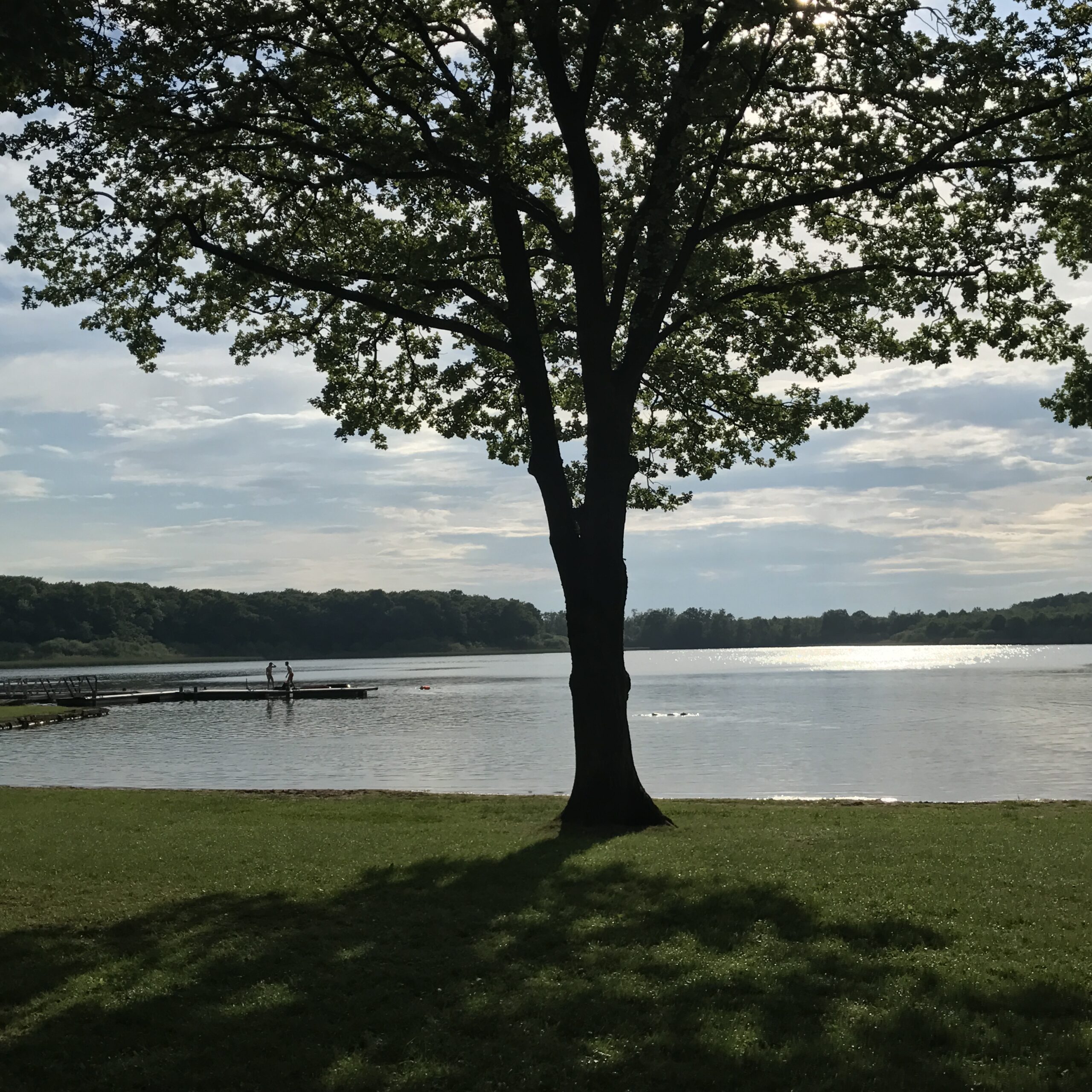 Etang du stock